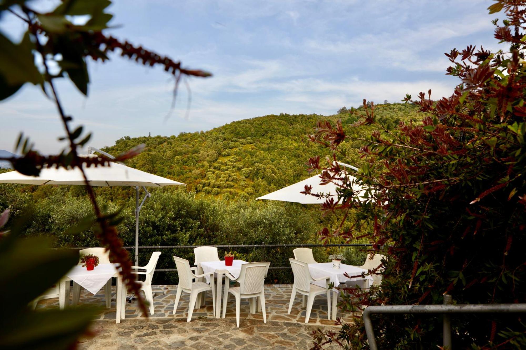 Villa Il Vecchio Frantoio Stella Cilento Exterior foto