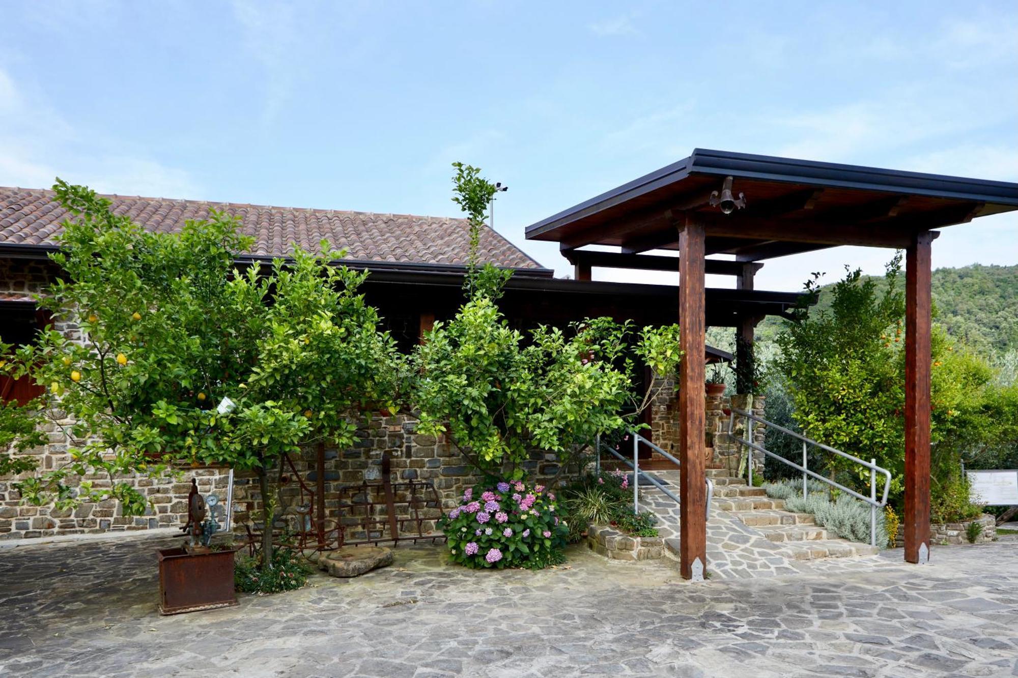 Villa Il Vecchio Frantoio Stella Cilento Exterior foto