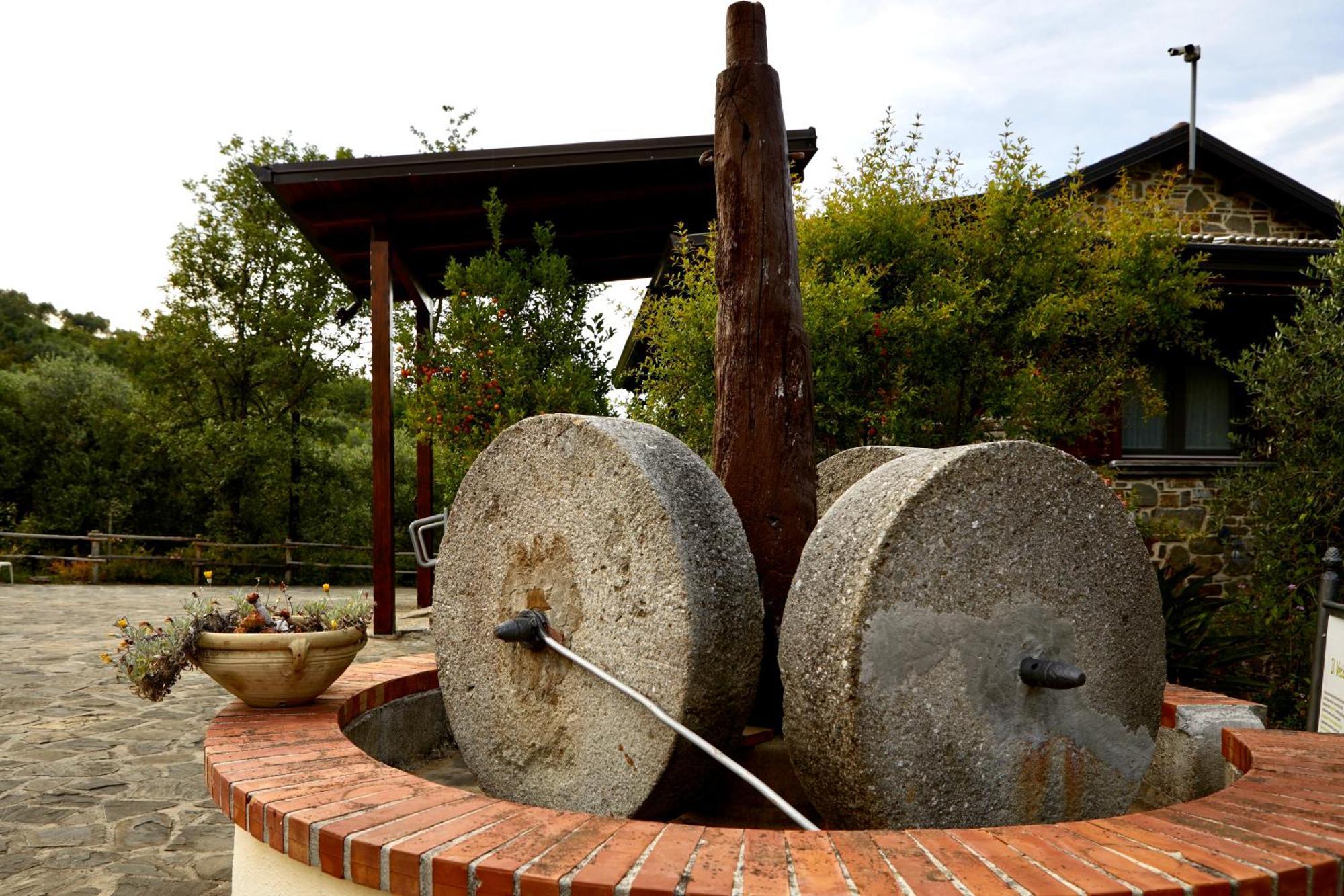 Villa Il Vecchio Frantoio Stella Cilento Exterior foto