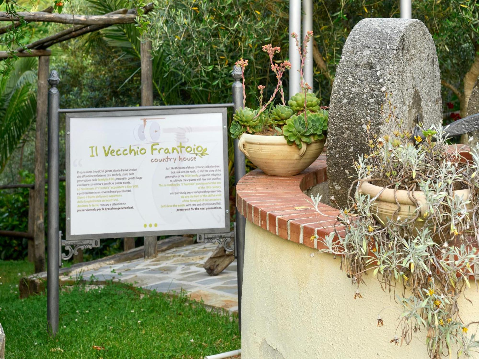 Villa Il Vecchio Frantoio Stella Cilento Exterior foto