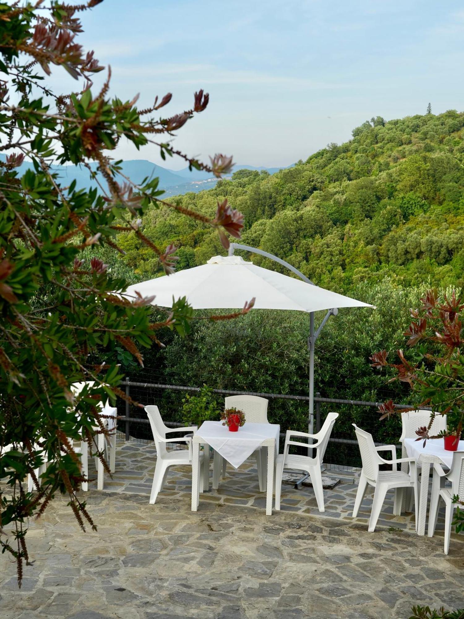 Villa Il Vecchio Frantoio Stella Cilento Exterior foto