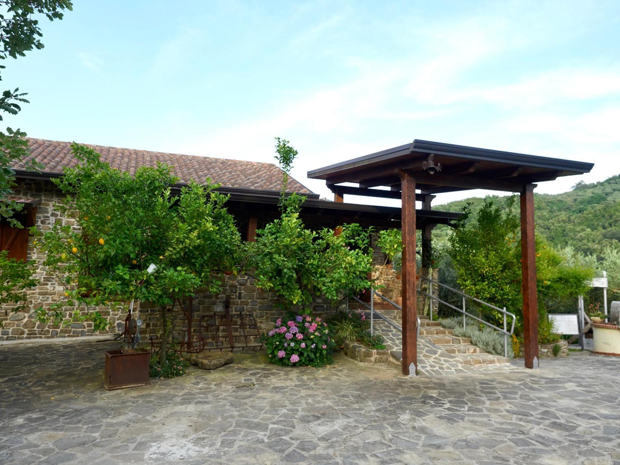 Villa Il Vecchio Frantoio Stella Cilento Exterior foto