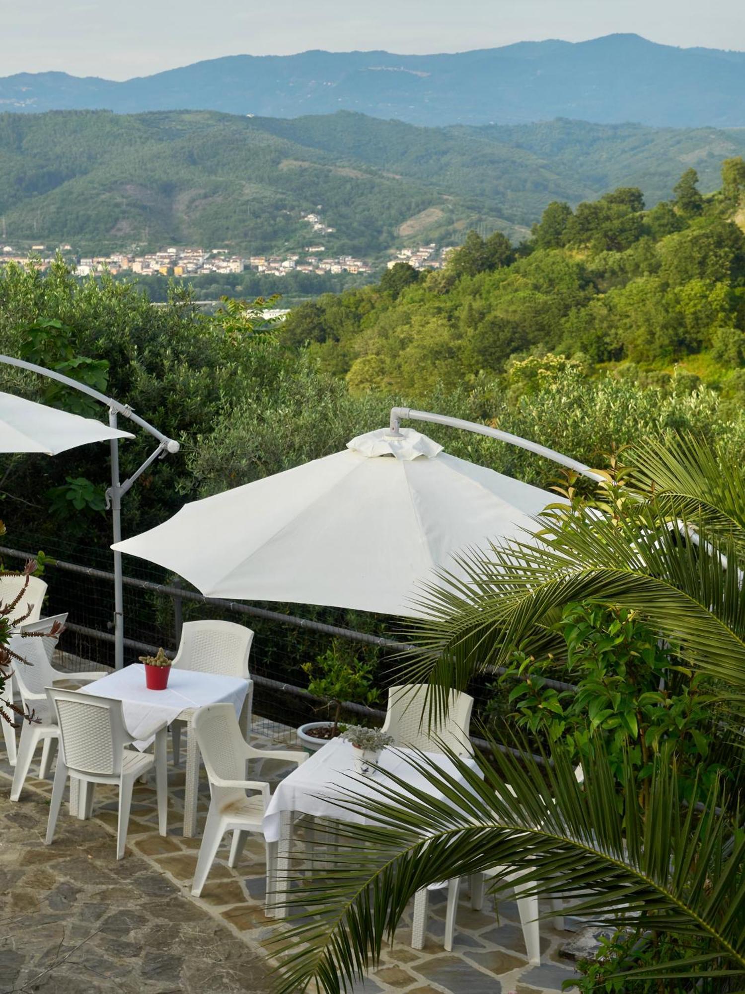 Villa Il Vecchio Frantoio Stella Cilento Exterior foto