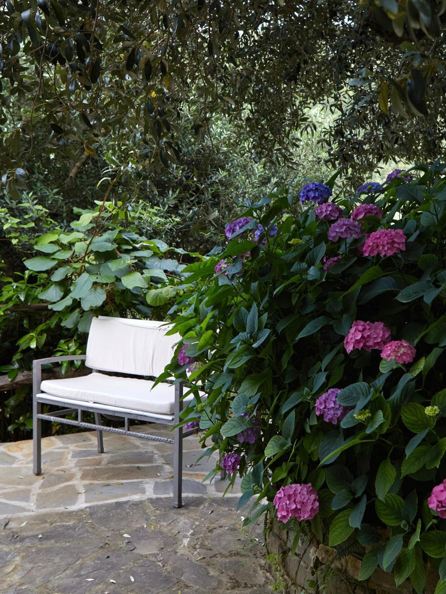 Villa Il Vecchio Frantoio Stella Cilento Exterior foto