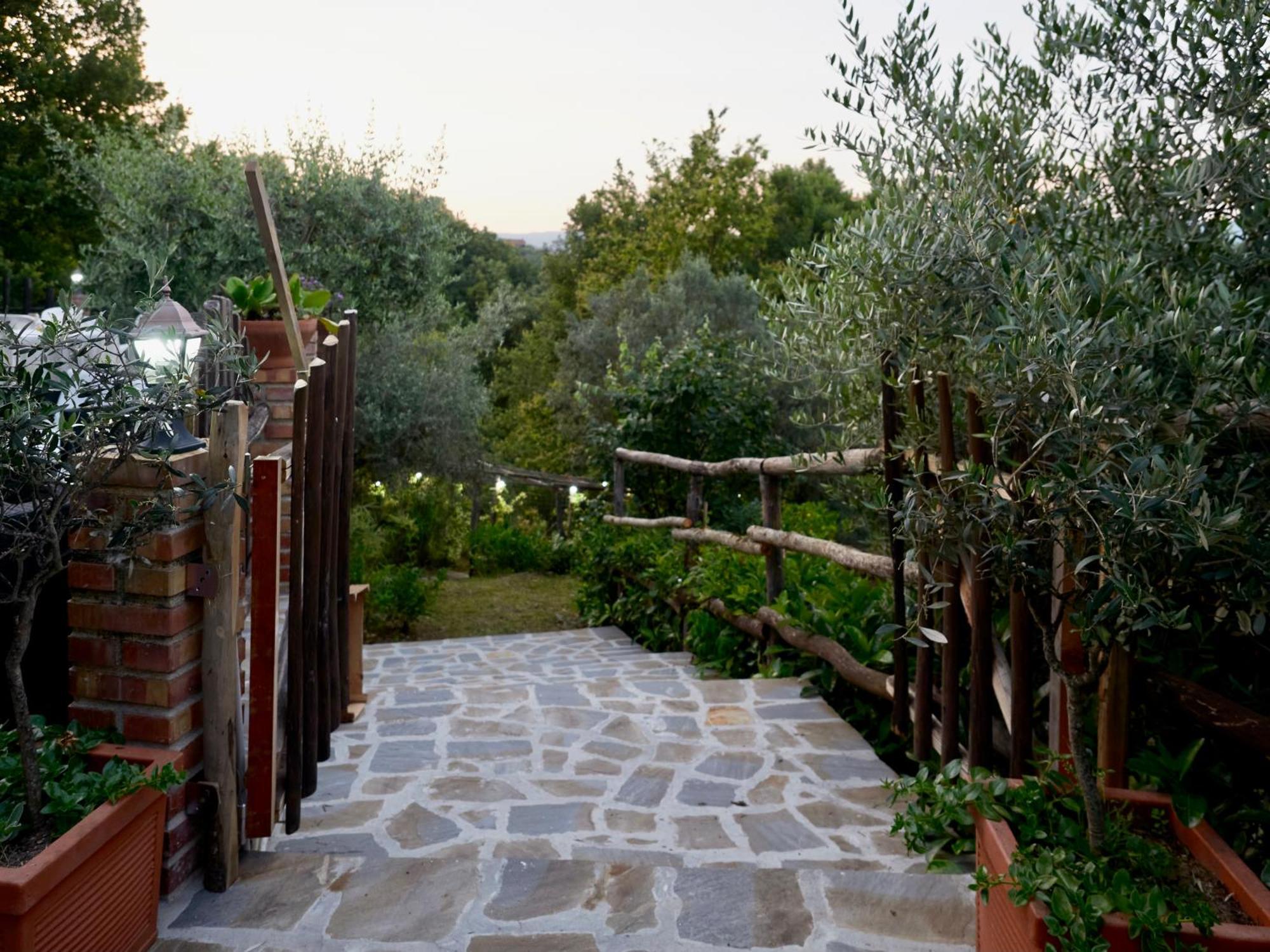 Villa Il Vecchio Frantoio Stella Cilento Exterior foto