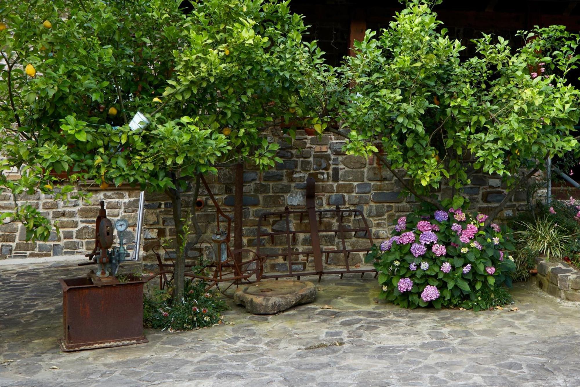 Villa Il Vecchio Frantoio Stella Cilento Exterior foto